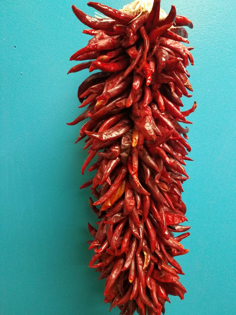 18in Piquin Red Chile Ristra – Chile Traditions